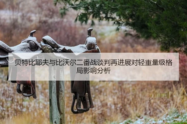 贝特比耶夫与比沃尔二番战谈判再进展对轻重量级格局影响分析