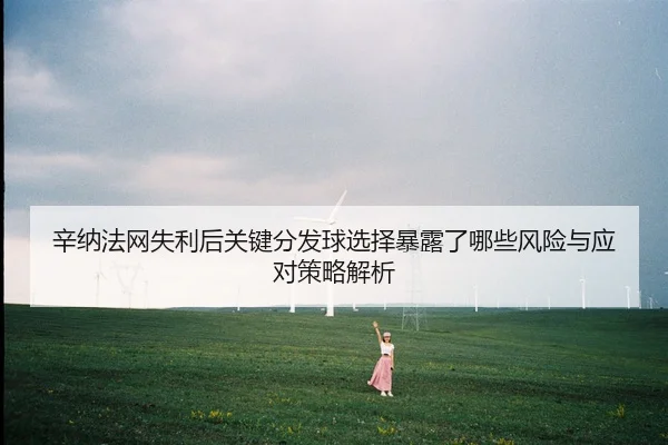 xin-na-fa-wang-shi-li-hou-guan-jian-fen-fa-qiu-xuan-ze-bao-lu-le-na-xie-feng-xian-yu-ying-dui-ce-lve-jie-xi-2-791.jpg